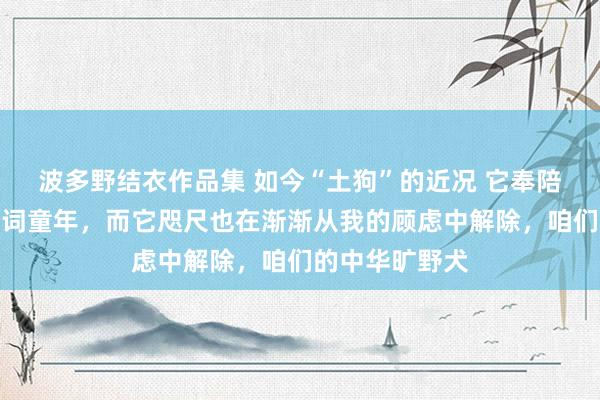 波多野结衣作品集 如今“土狗”的近况 它奉陪了我统统这个词童年，而它咫尺也在渐渐从我的顾虑中解除，咱们的中华旷野犬