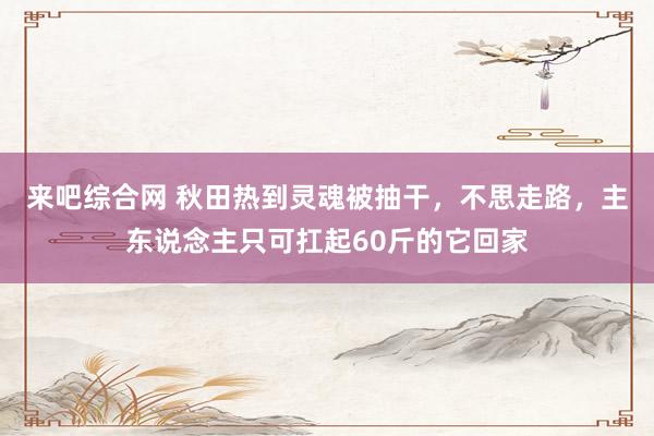 来吧综合网 秋田热到灵魂被抽干，不思走路，主东说念主只可扛起60斤的它回家