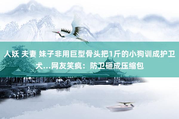 人妖 夫妻 妹子非用巨型骨头把1斤的小狗训成护卫犬...网友笑疯：防卫砸成压缩包