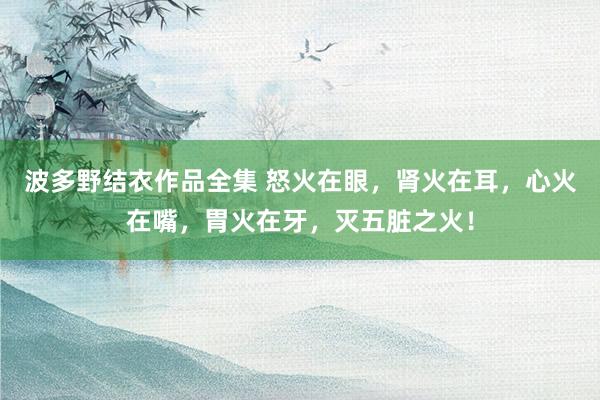 波多野结衣作品全集 怒火在眼，肾火在耳，心火在嘴，胃火在牙，灭五脏之火！