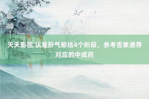 天天影视 认准肝气郁结4个阶段，参考舌象遴荐对应的中成药