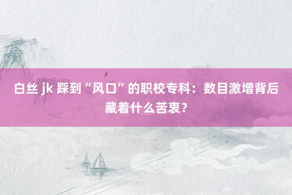 白丝 jk 踩到“风口”的职校专科：数目激增背后藏着什么苦衷？