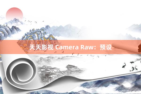 天天影视 Camera Raw：预设