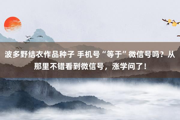 波多野结衣作品种子 手机号“等于”微信号吗？从那里不错看到微信号，涨学问了！