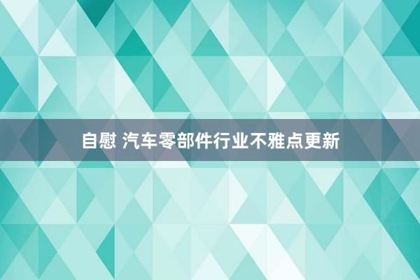 自慰 汽车零部件行业不雅点更新