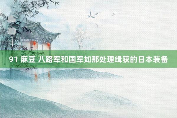 91 麻豆 八路军和国军如那处理缉获的日本装备