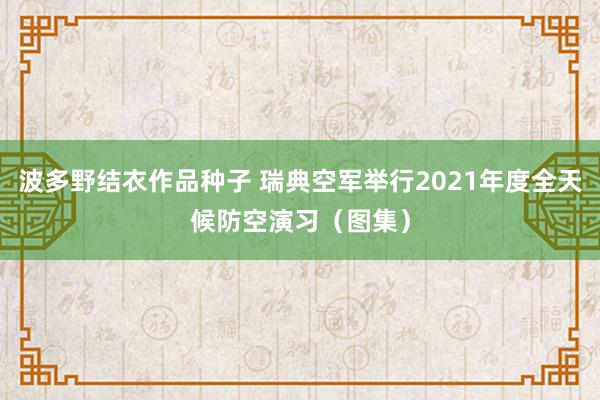 波多野结衣作品种子 瑞典空军举行2021年度全天候防空演习（图集）