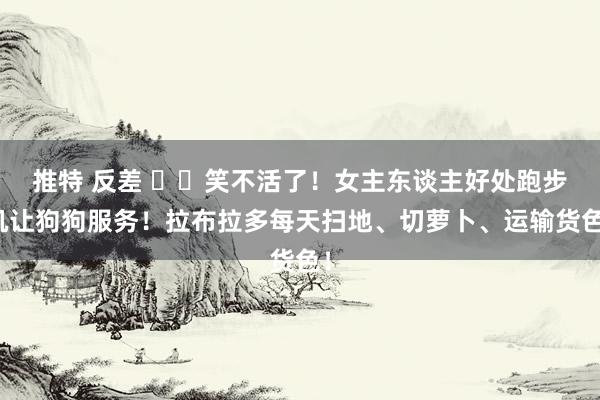 推特 反差 ▶️笑不活了！女主东谈主好处跑步机让狗狗服务！拉布拉多每天扫地、切萝卜、运输货色！