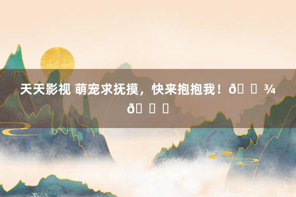 天天影视 萌宠求抚摸，快来抱抱我！🐾💕