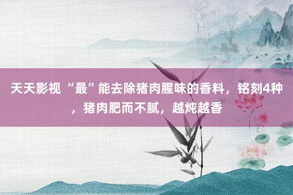 天天影视 “最”能去除猪肉腥味的香料，铭刻4种，猪肉肥而不腻，越炖越香