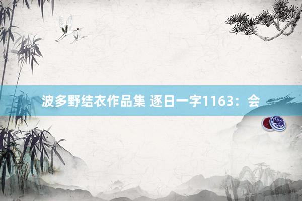 波多野结衣作品集 逐日一字1163：会