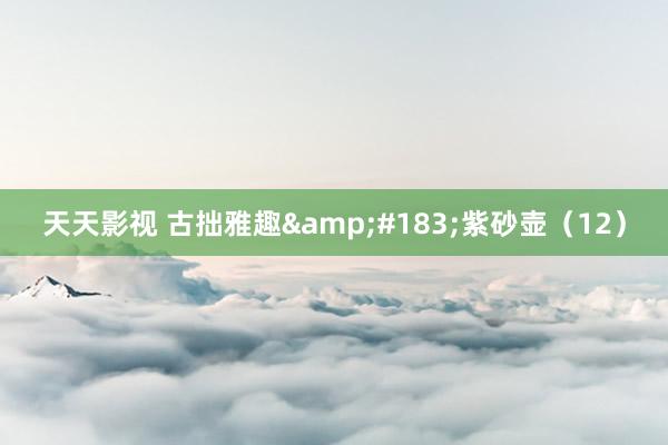 天天影视 古拙雅趣&#183;紫砂壶（12）